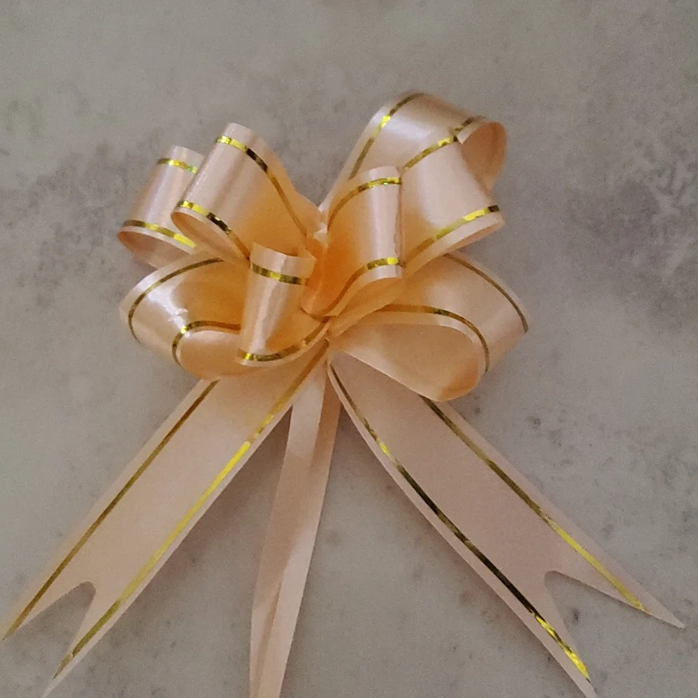 Peach Ribbon/Bow nwot